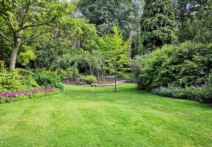 Optimiser l'expérience du jardin à Coullemont
